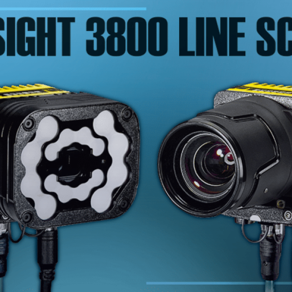 POST IN-SIGHT 3800