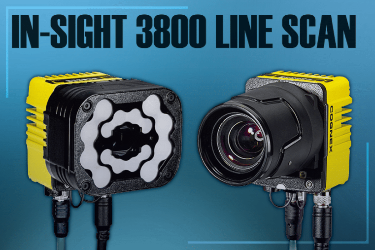 POST IN-SIGHT 3800